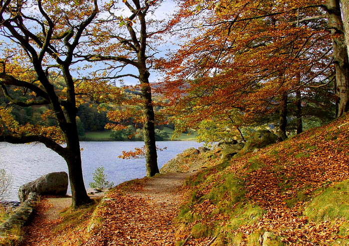 263a_895018 (700x494, 719Kb)