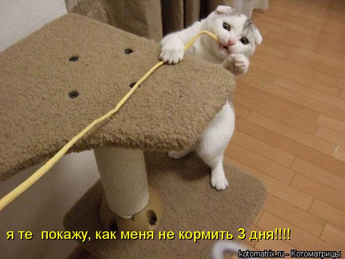 4743317_9m (700x525, 52Kb)