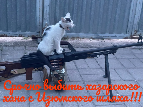3из3 (604x453, 239Kb)