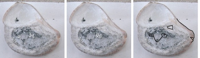 7290692_DSC08548_4_1 (700x203, 43Kb)