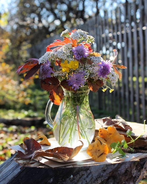 IMG_20220914_174002 (500x625, 530Kb)