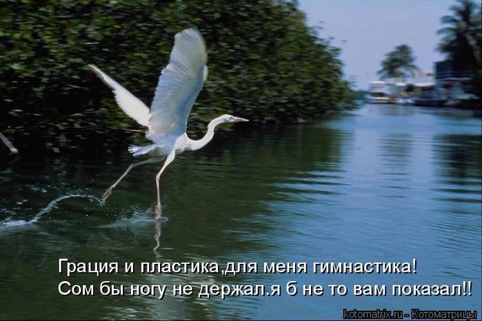4743317_K (700x466, 54Kb)