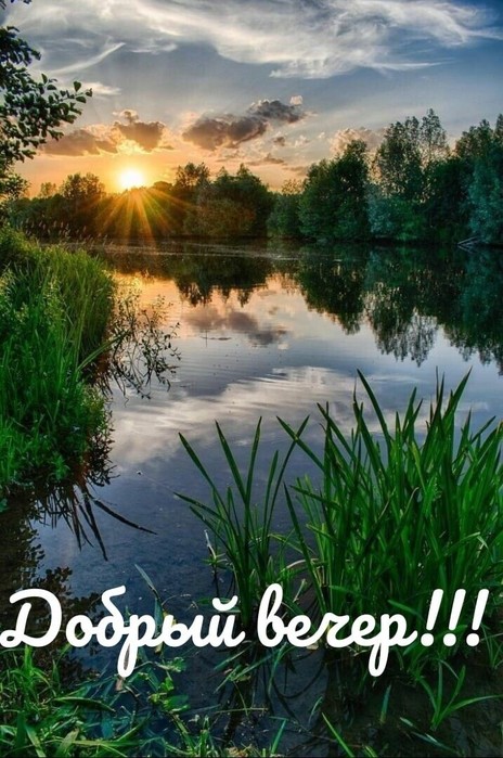 IMG_20220608_080748 (464x700, 112Kb)