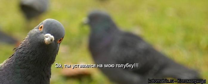 4743317_rb (700x284, 18Kb)