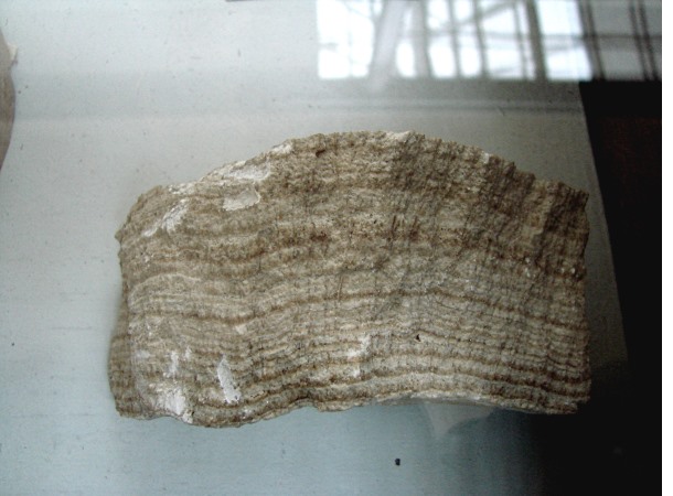 7290692_6_09_22g__Myzei_1_1 (610x450, 68Kb)