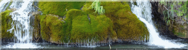 17134685647690549812 (600x160, 737Kb)