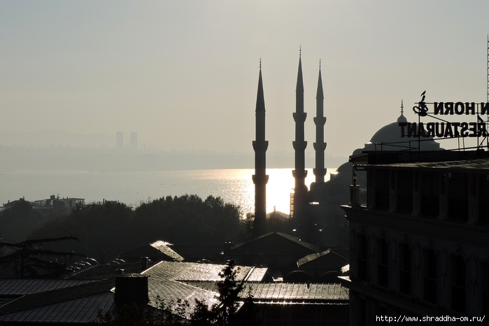Стамбул, Турция, Istanbul, Shraddhatravel 2021 (98) (700x466, 186Kb)