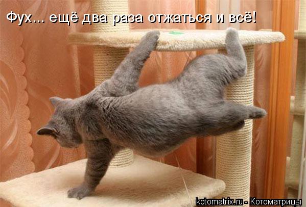 4743317_7U (599x406, 42Kb)