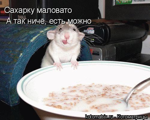 4743317_Gf (500x400, 40Kb)