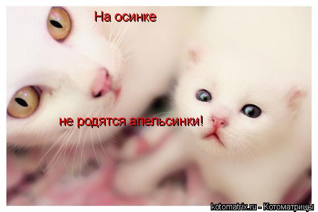 4743317_t (640x427, 26Kb)