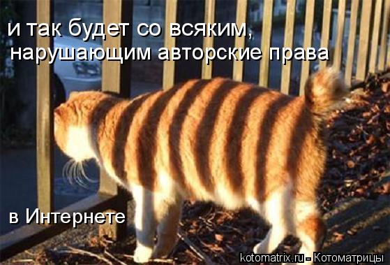 4743317_p (559x379, 48Kb)