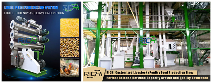 poultry feed pellet machine for feed mill plant (700x273, 277Kb)