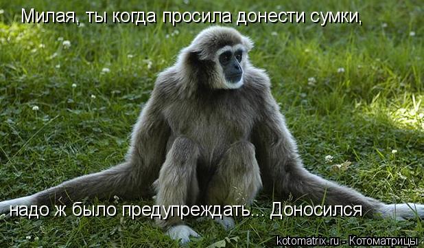 4743317_u0 (618x361, 58Kb)