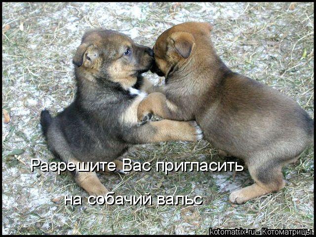 4743317_pr (640x480, 90Kb)