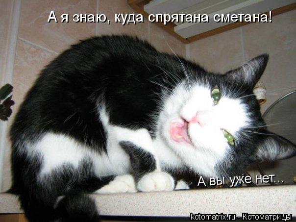4743317_JW (604x453, 45Kb)