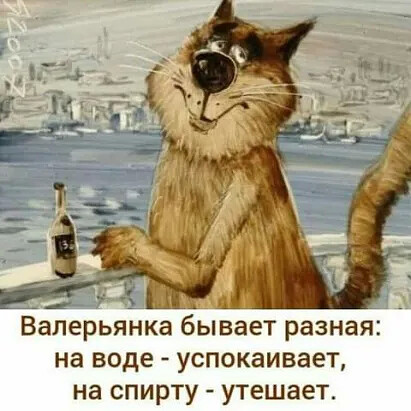 4743317_i_jpgvchs (411x411, 53Kb)