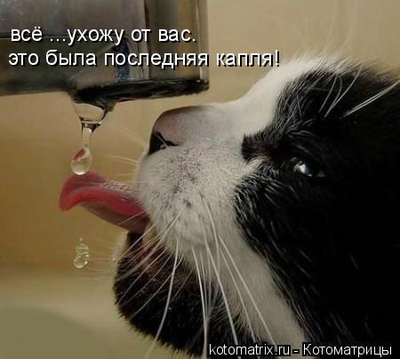 4743317_i_jpgpae (450x404, 26Kb)