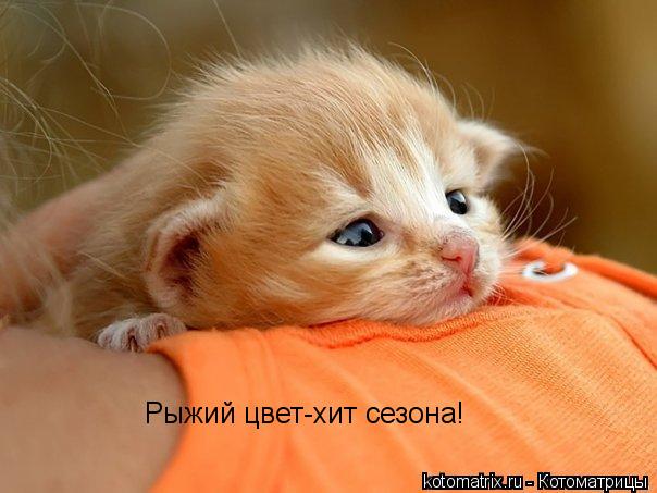 4743317_UC (604x453, 41Kb)