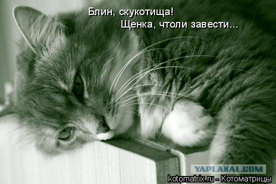 4743317_bK (550x367, 41Kb)