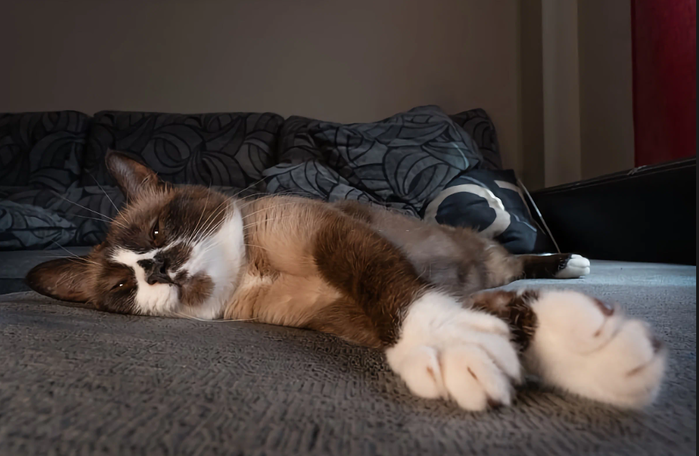 3085196_20220927_085012 (700x456, 357Kb)