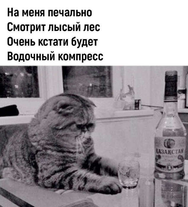 dan8QR0m_3AMP-Rqb6j0uu2xt664_pc_k5JyU3jWLgc6Btwo5r2_yFVfyvgR8ZnP6OTJDTrBmTgl7ip8pNc2yQNW (635x700, 216Kb)