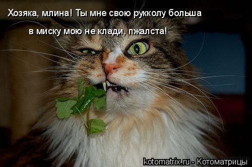4743317_se (500x333, 31Kb)
