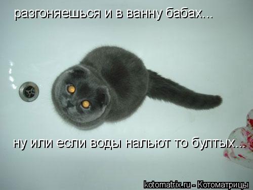 4743317_2p (500x375, 23Kb)