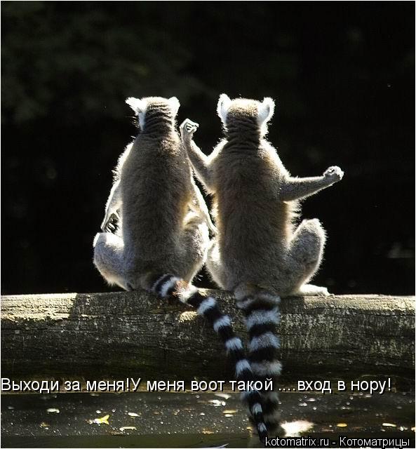 4743317_BN (593x640, 63Kb)