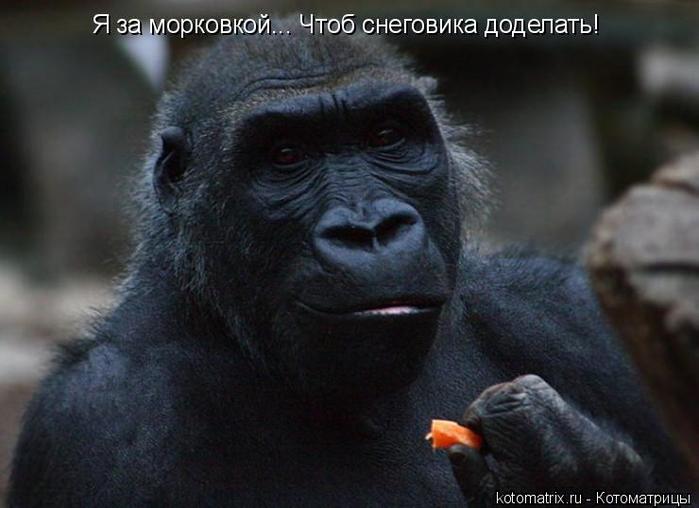 4743317_J (700x508, 41Kb)