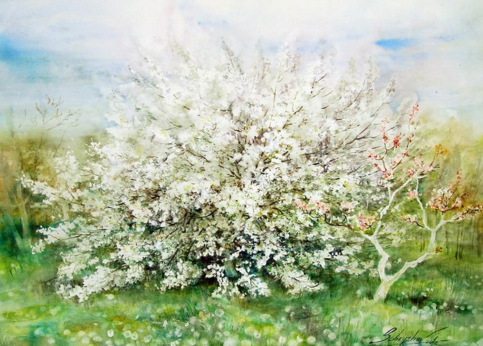 0-РђР»РµРєСЃР°РЅРґСЂ Р‘РѕР±СЂС‹С€РµРІ 15 (700x501, 441Kb)