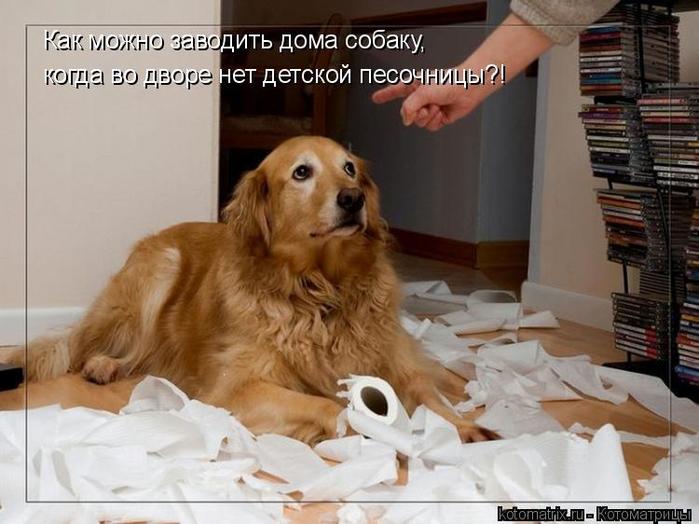 4743317_1o (700x524, 52Kb)