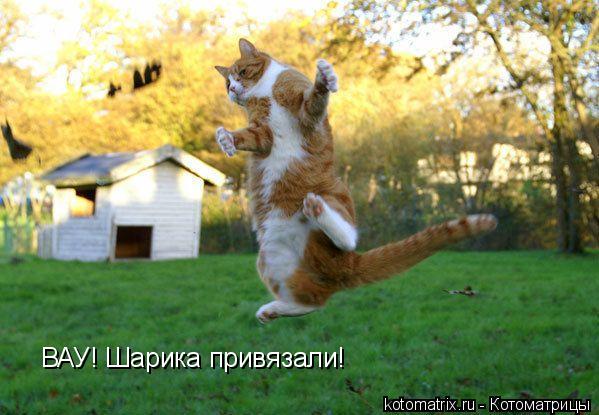 4743317_Gb (599x415, 47Kb)