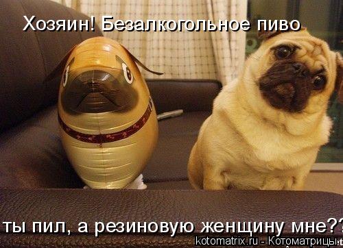 4743317_wL (500x362, 41Kb)