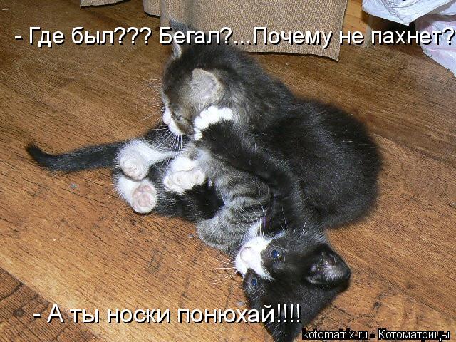 4743317_Si (640x480, 88Kb)