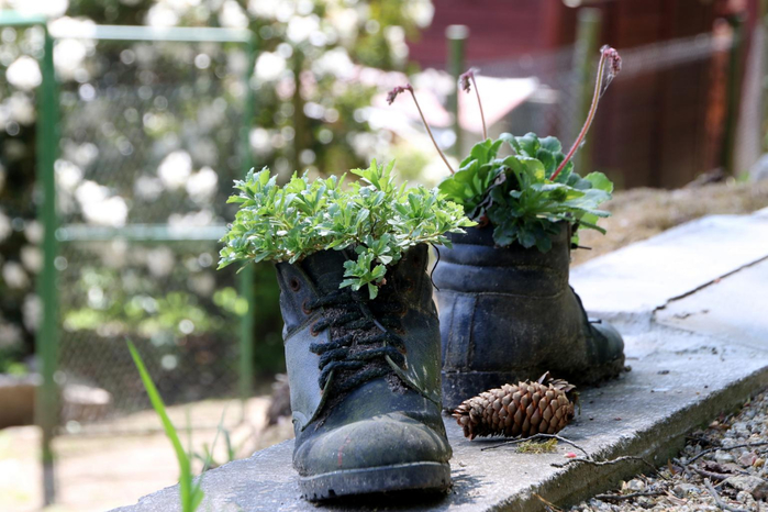 shoes_run_plant_go (700x466, 348Kb)