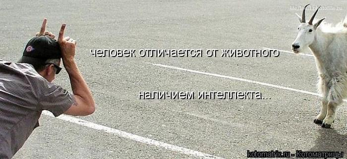 4743317_VV (700x320, 52Kb)