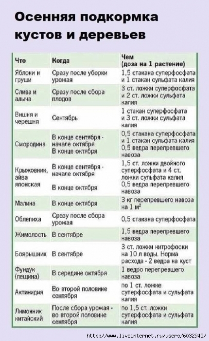 6032945_S_kw9hJvP4I (430x700, 229Kb)