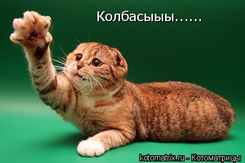 4743317_fB (500x333, 26Kb)