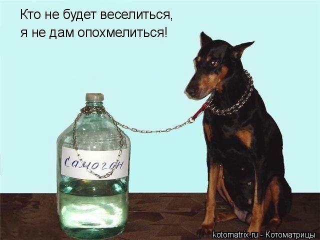 4743317_h (640x480, 36Kb)