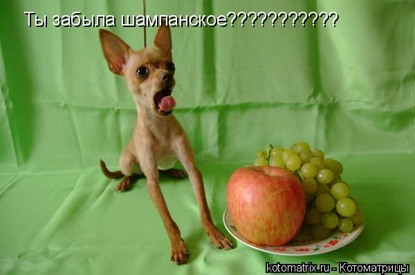 4743317_E (600x398, 28Kb)