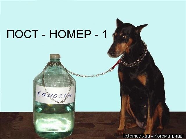 4743317_Y (640x480, 33Kb)