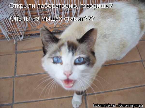 4743317_Nr (600x450, 43Kb)