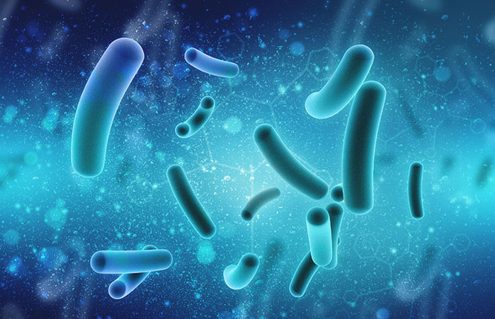 7378173_Microbiome_Sequencing_Services_Market2 (700x451, 101Kb)