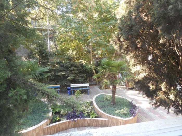 4878453_DSCN6113 (700x525, 365Kb)