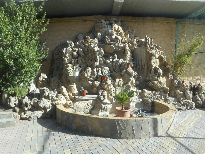 4878453_DSCN6102 (700x525, 340Kb)