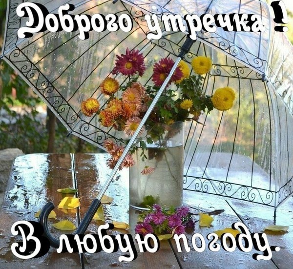 4743317_i40291 (600x551, 144Kb)