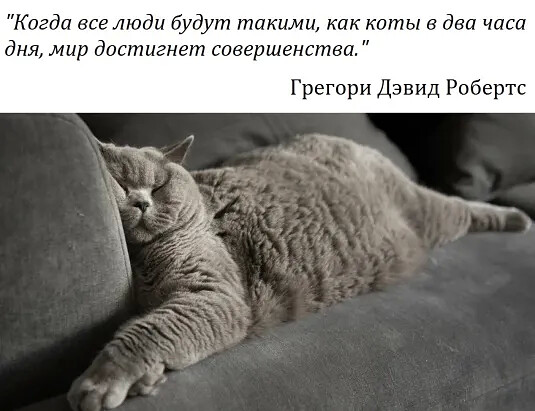 4743317_i_2_jpgoo (535x411, 56Kb)