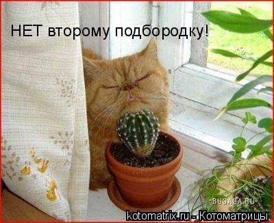 4743317_P (400x326, 30Kb)