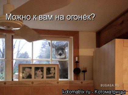 4743317_q_ (420x314, 24Kb)