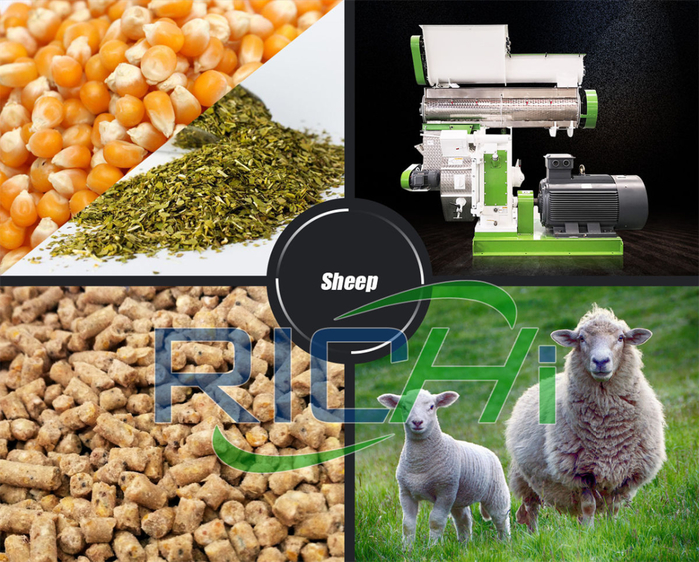 animal poultry chicken cattle aqua feed pellet mill (2) (700x562, 541Kb)